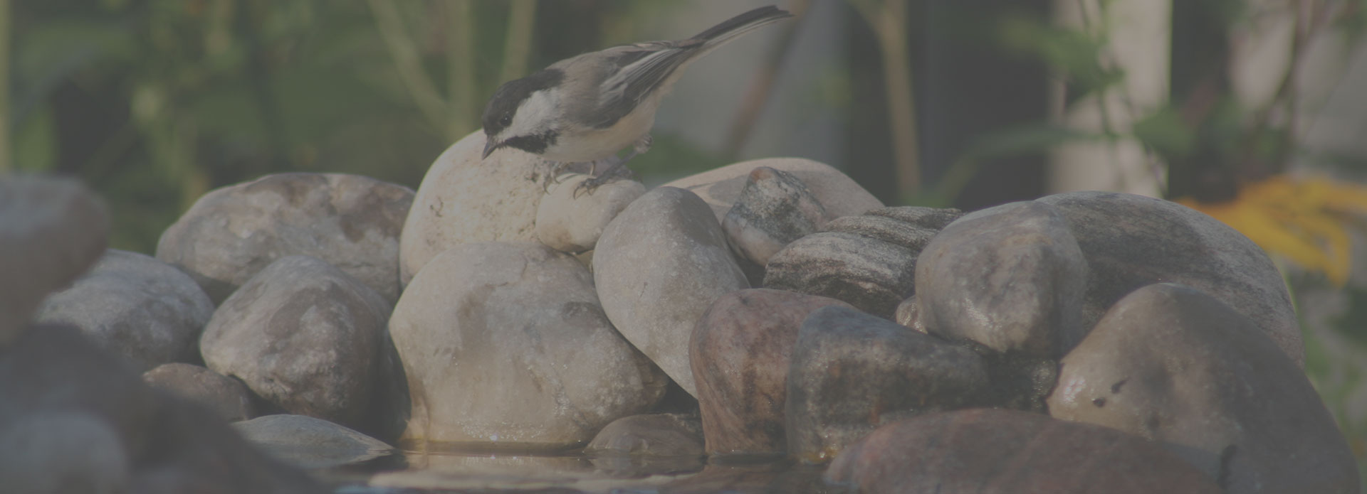 Create the space<br /> of your dreams